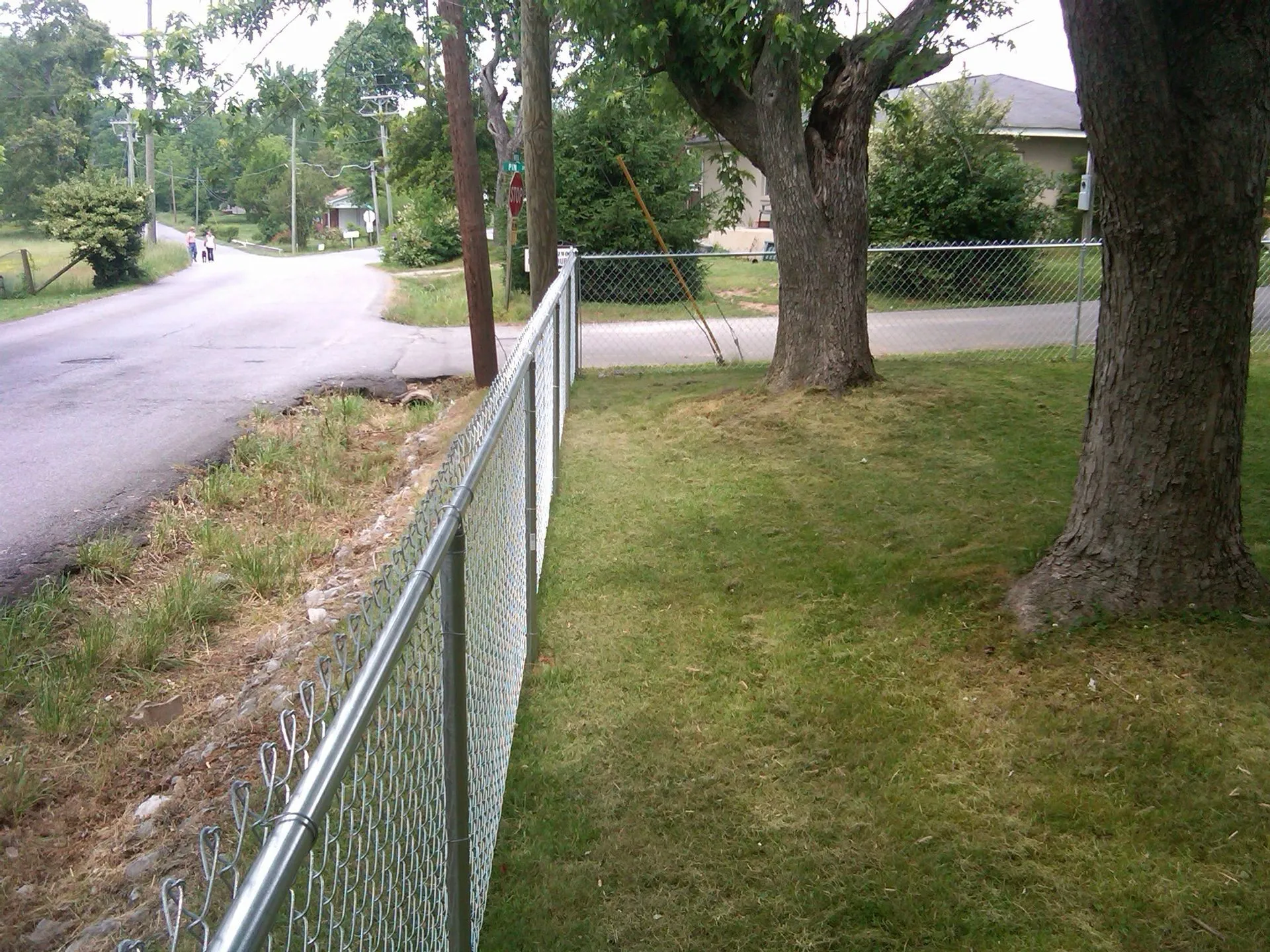 Galvanized chain link fence along a grassy residential yard